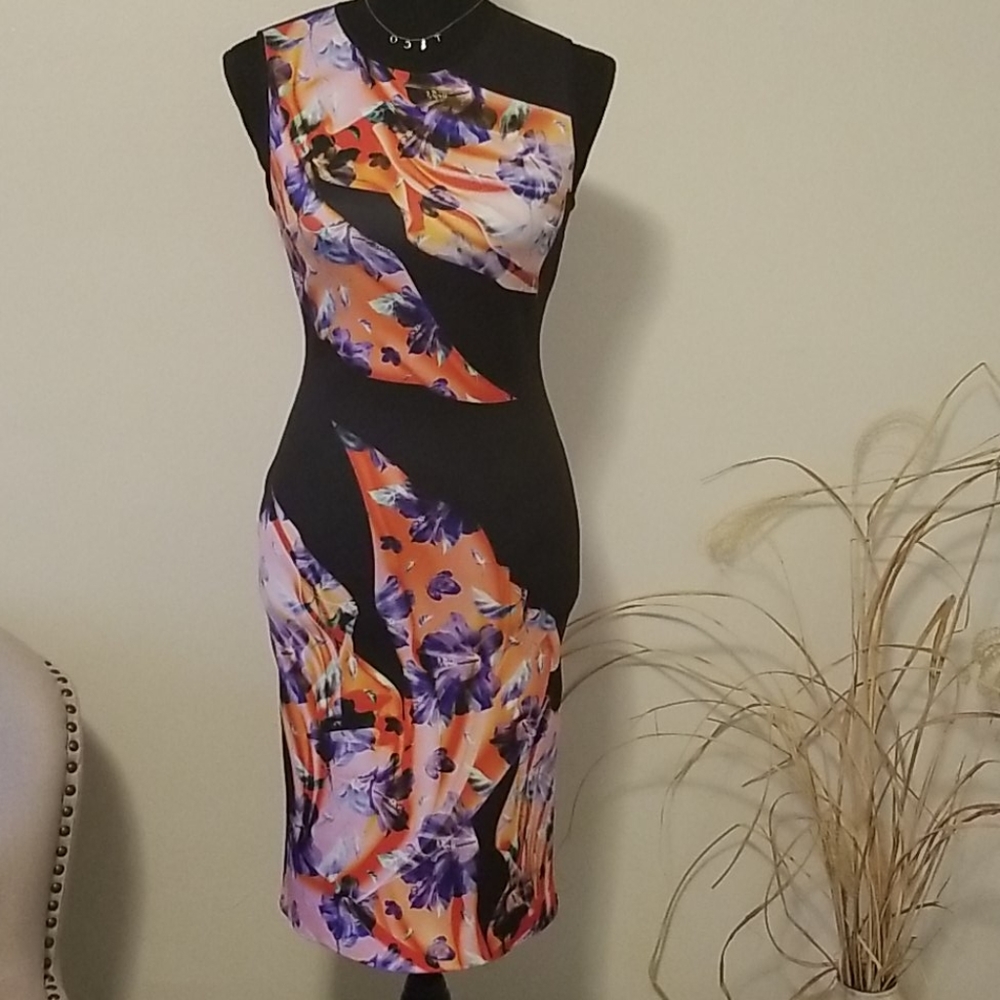 Clover Canyon Dress